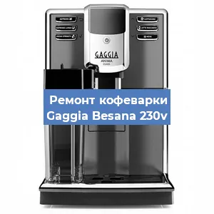 Чистка кофемашины Gaggia Besana 230v от кофейных масел в Краснодаре